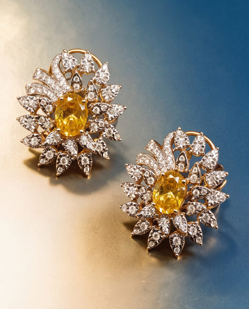 Diamond Long Earrings