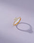 Diamond Details Pending