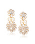 Taranum Polki And Diamond Long Earrings