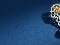 Diamond Long Earrings