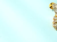 Sonali Polki And Diamond Long Earrings