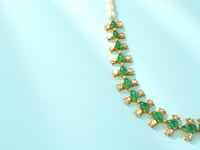 Mishka Polki And Diamond Long Necklace