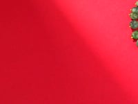 Nadia Polki And Diamond Necklace