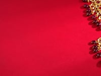 Nadiya Polki Necklace