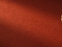 Bhanavi Polki And Diamond Bangle