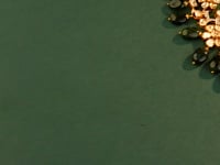 Aayra Polki And Diamond Necklace