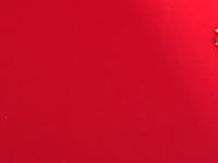 Nashita Polki Choker