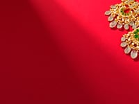Virisha Polki Necklace