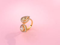 Amisha Polki And Diamond Ring