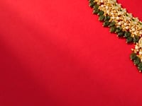 Tanviya Polki Necklace