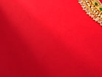 Tarisha Polki Necklace
