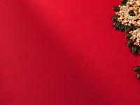Vridhi Polki Necklace