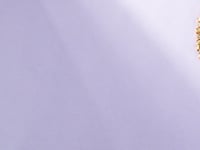 Anaya Polki And Diamond Long Earrings