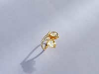 Gwen Polki And Diamond Ring