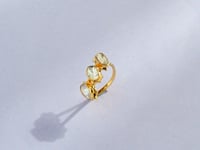 Driti Polki And Diamond Ring