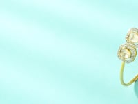 Kiara Polki And Diamond Loose Bracelet