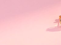 Diamond Hoops